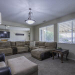 219 White Alder 2460px (8 of 35)