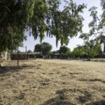 2610 Cleveland Way 2460px (21 of 28)