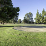 504 Cherry Hills Dr 2460px (27 of 33)