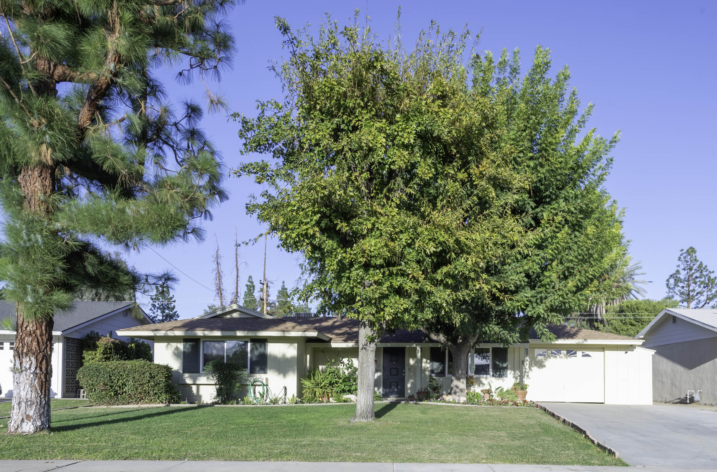 504 Cherry Hills Dr 2460px (31 of 33)