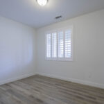 14721 Yellow Lupine 2460px (13 of 32)