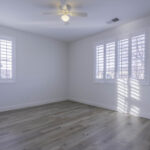 14721 Yellow Lupine 2460px (15 of 32)