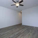 14721 Yellow Lupine 2460px (24 of 32)