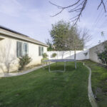 14721 Yellow Lupine 2460px (27 of 32)