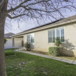 14721 Yellow Lupine 2460px (28 of 32)