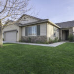 14721 Yellow Lupine 2460px (30 of 32)