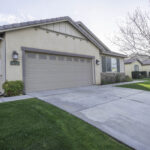 14721 Yellow Lupine 2460px (31 of 32)